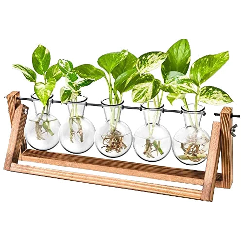 New Retro-Style Planting Hydroponicswith Wooden Stand Air Planter Bulb Vase Home Garden Desktop Propagation Station Used Bonsai