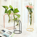 Modern Nordic Ins Golden Glass Test Tube Vase Creative Office Desktop Hydroponic Flower Decoration Ornament Tabletop Accent