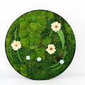 Customized Size Round Shape 60 cm Preserved Real Natural Reindeer Moss Decorative Wall Art Frame for Home House Decorative Decor