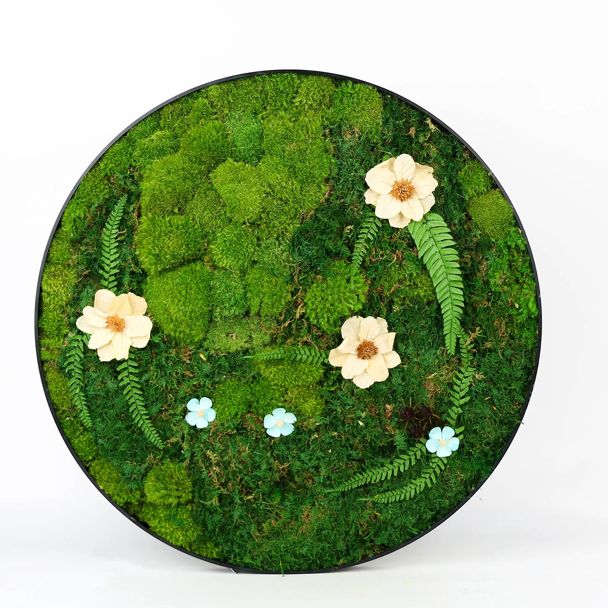 Customized Size Round Shape 60 cm Preserved Real Natural Reindeer Moss Decorative Wall Art Frame for Home House Decorative Decor