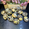 Wholesale Crystal Craft Healing Stone Natural Rock Septarium Septarian Egg for Decorations