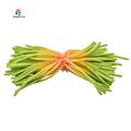 PIAOYU High Quality 3060 Flat High Elastic Shooting Rubber Bands Premium Hunting/Fishing Slingshot Products