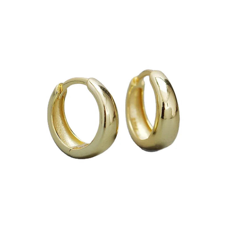 Rainbowking S925 Silver Hoop Earrings High Quality Trendy Metallic Finish Water Drop Design Gold Plated