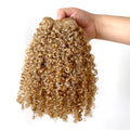 VMAE Kinky Curly European Russian Blonde #27 Afro Kinky Curls Deep Curly Weft Virgin Hair Weave Raw Human Hair Bundles Extension