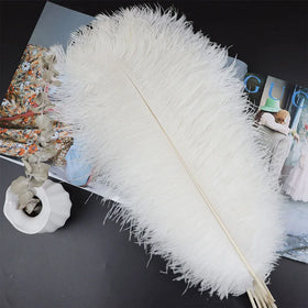 Colored Ostrich Feathers 50-55 cm for Wedding Decorations Fan Feather Walls and Feather Lights Versatile Fly Tying Product