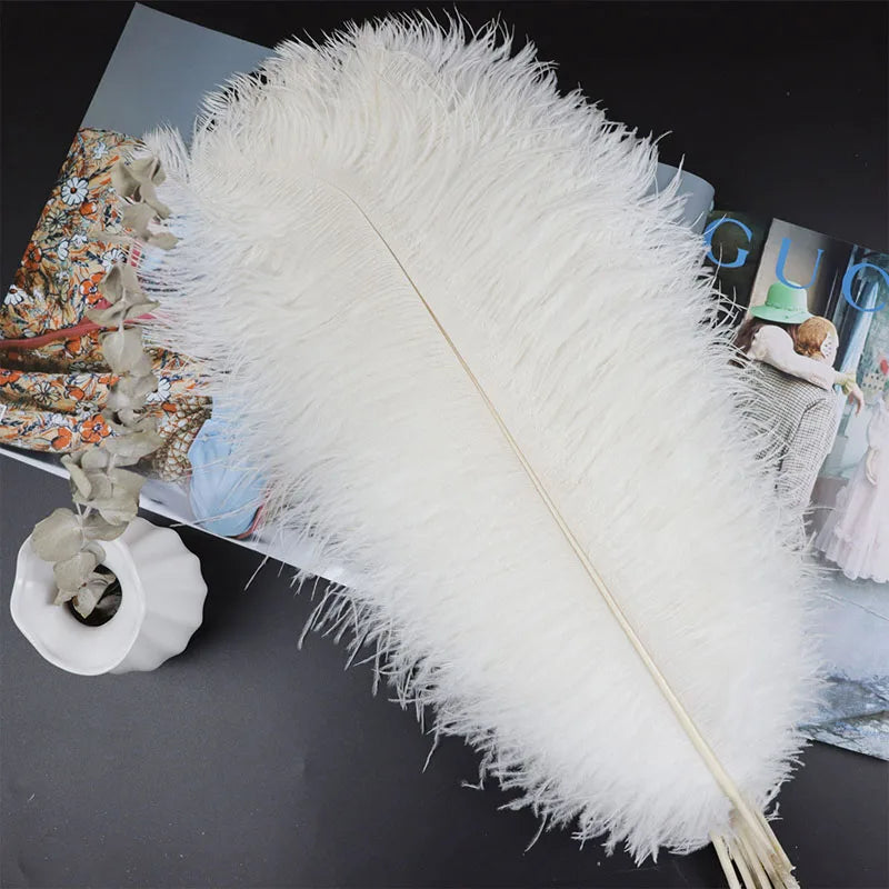 Colored Ostrich Feathers 50-55 cm for Wedding Decorations Fan Feather Walls and Feather Lights Versatile Fly Tying Product