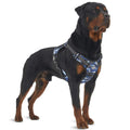 Wholesale Luxury No Pull Dog Harness Custom Neoprene Harness Adjustable Nylon Leash Reflective Tough Luxury Dog Gear Rivet for
