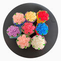 Luminous Bouquet Mini Models Resin 3D Flower Crafts for Jewelry Making Pendant Key Chain Accessories