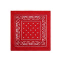Paisley Manufacturer Wholesale Cotton Popular Hip Hop square Soft Paisley Bandanas