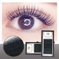 Factory Direct Supply Wholesale 0.07 Protein Silk Dense False Eyelashes Natural Long C Curl Eyelash Transplantation MegaBDM