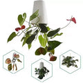Creative Safety Plastic Upside Down Inverted Hanging Flower Pots Planter with Ceramic