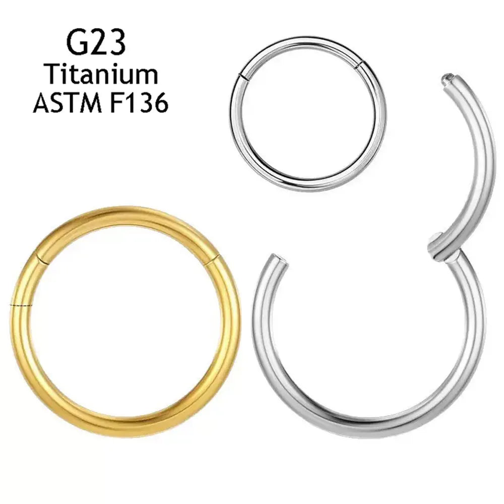 ASTM F136 G23 Titanium Hinged Segment Ring(Clicker) CZ Nose Cross-Border Sales Piercing Jewelry Earring Closed Circle Jewelry