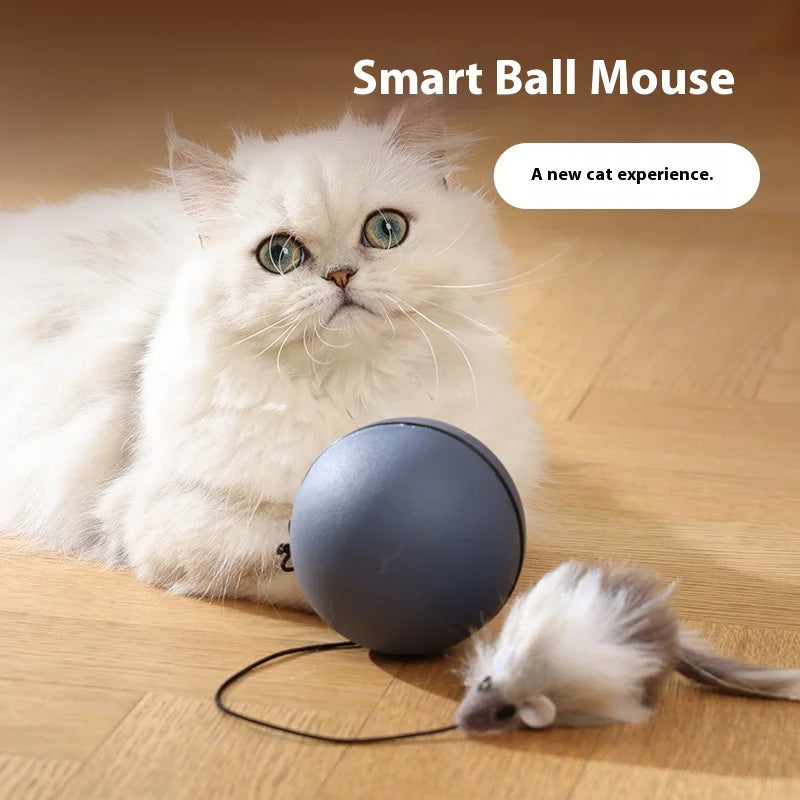 Wholesale Intelligent Electric Rolling Cat Toy Bite-Resistant Self-Hi Art Automatic Teasing PC Interactive Pet Movement Toy
