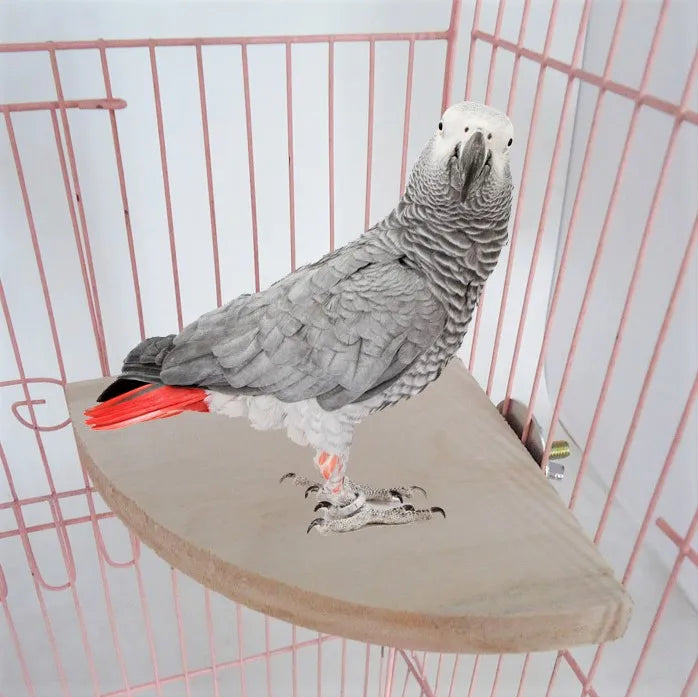 Wholesale Parrot Raw Wood Fork Tree Branch Stand Rack Hamster Branch Perches