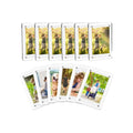 Mini Double Sided Clear Frameless Acrylic Eco-Friendly Customized Size Photo Frame Plastic Magnet for Refrigerator Decoration