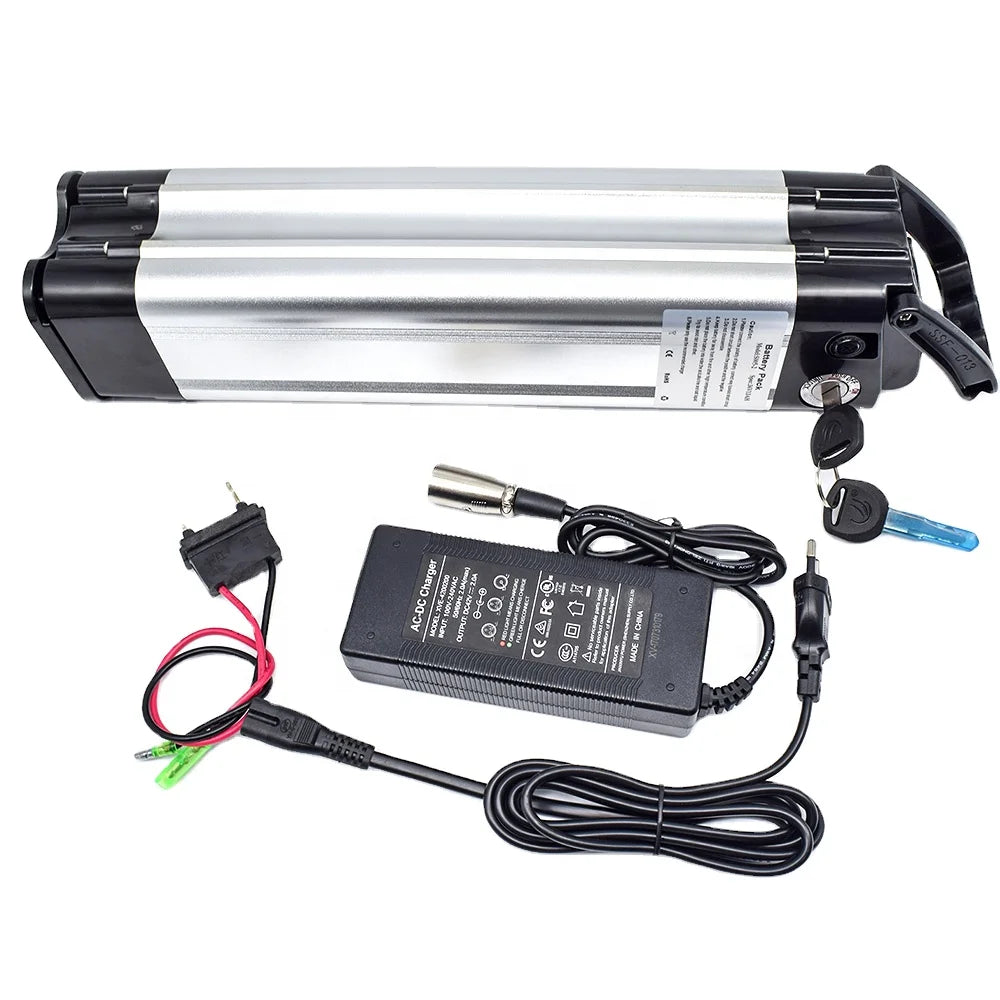 Customized 18650 36V 48V Battery Pack Rechargeable 18650 Silverfish 36v 10ah Electric Bike Battery Pack 48V for Electric Scooter