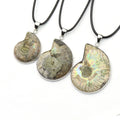 Natural Gemstone Ammonite Fossil Necklace Genuine Snail Fossil Crystal Stone Pendants NECKLACES for Jewelry 3CM