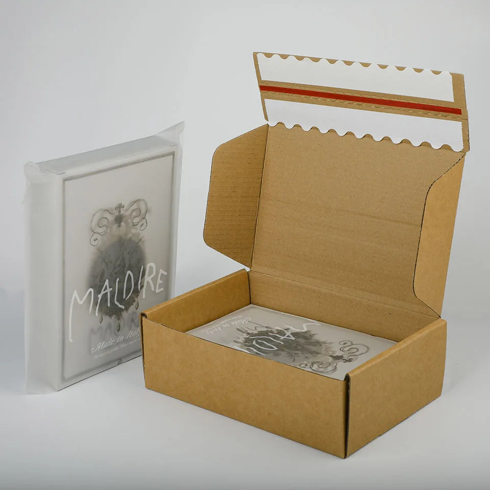 Biodegradable Shipping Packing Box Mailing Paper Corrugated Mailer Courier Parcel Boxes with  logo