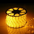 100M RGB LED Rope Light Outdoor Waterproof IP67 Christmas Decorative Lighting Neon Flex 110V 220V Wholesale