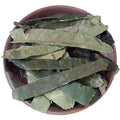 China Loose Raw Green Dried Eriobotrya Japonica Leaf Medlar Leaves for Sale
