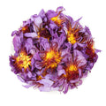 Nature Naturally Dried Blue Lotus Flower Tea Bagged Health Tea with Fragrant Flavor for Vitality and Skin Care