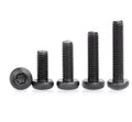 Grade 10.9 Black Pan Hex Allen Torx Socket Head Anti Theft Screw