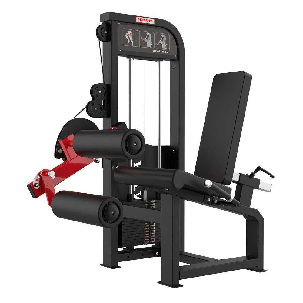 All in One Trainer Multifunction 2 in 1 Leg Extension & Curl Machine