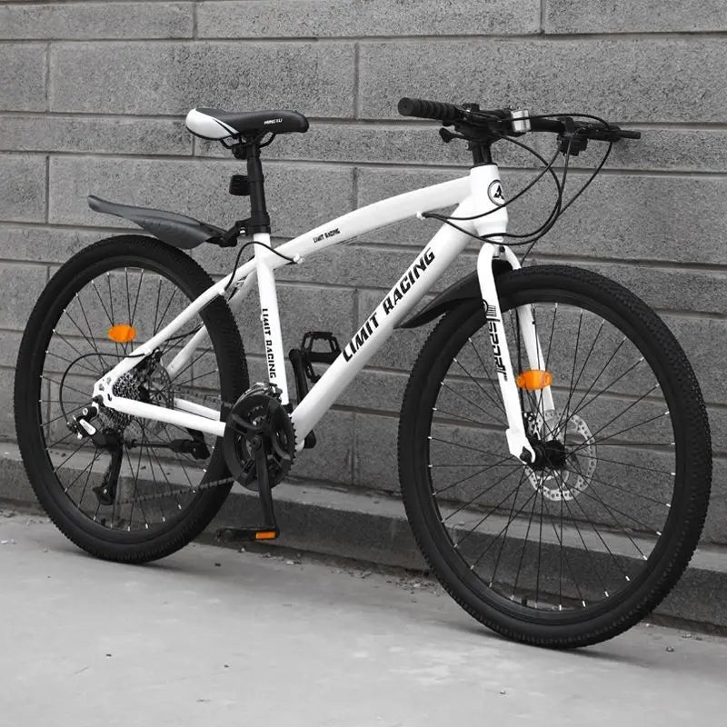 Factory Price 21/24/27 Speed 24/26 Inch Adult Shock-Absorbing Front Fork Disc Brakes Durable for Urban Outdoor Use Mountain Bike