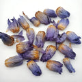 GC4009 Lan Lian Hua Hot Sale Dried Blue Lotus for Flower Tea