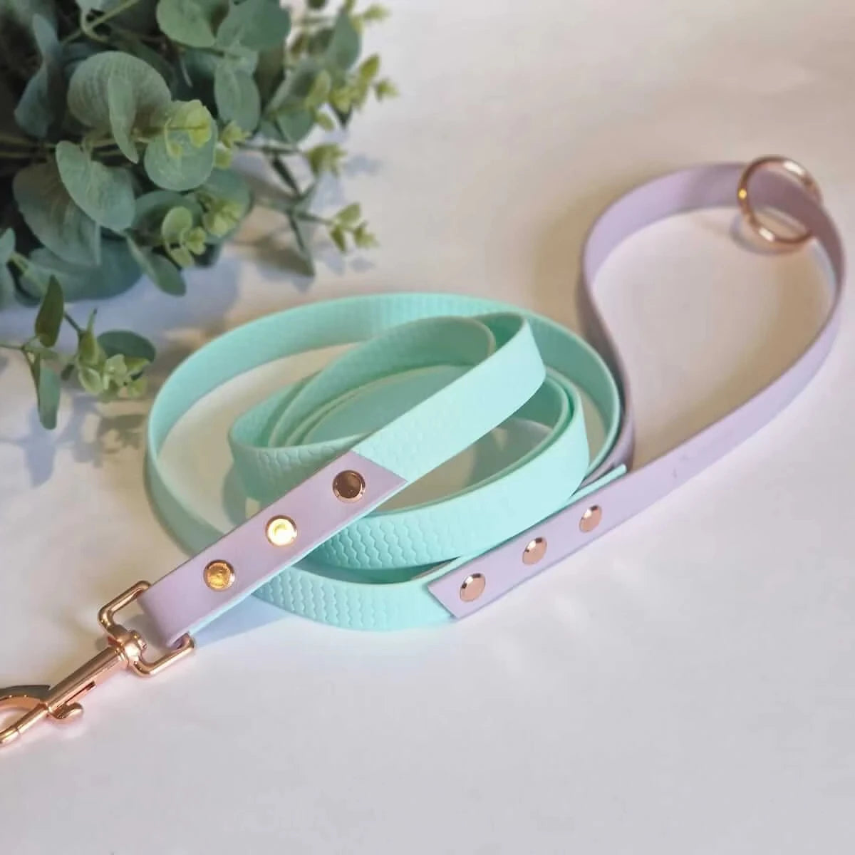 Wholesale Luxury Fashion Adjustable Soft PVC Dog Collar Name Tag Waterproof Hands-Free Buckle Leash Solid Pattern Rivet Pets
