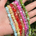 Natural Sea Shell Coral Colorful Horseshoe Snail 5-15mm Loose Spacer Beads for Jewelry Making DIY Bracelet Necklace 15.5 Inches