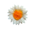 Handmade Flower Candle Wedding Christmas Birthday Daisy Sunflower Scented Candles