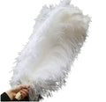 65CM 70CM Plumas Wholesale Natural Supply Cheap Large Ostrich Wing Plumes Ostrich Feathers for Crafts Wedding Party