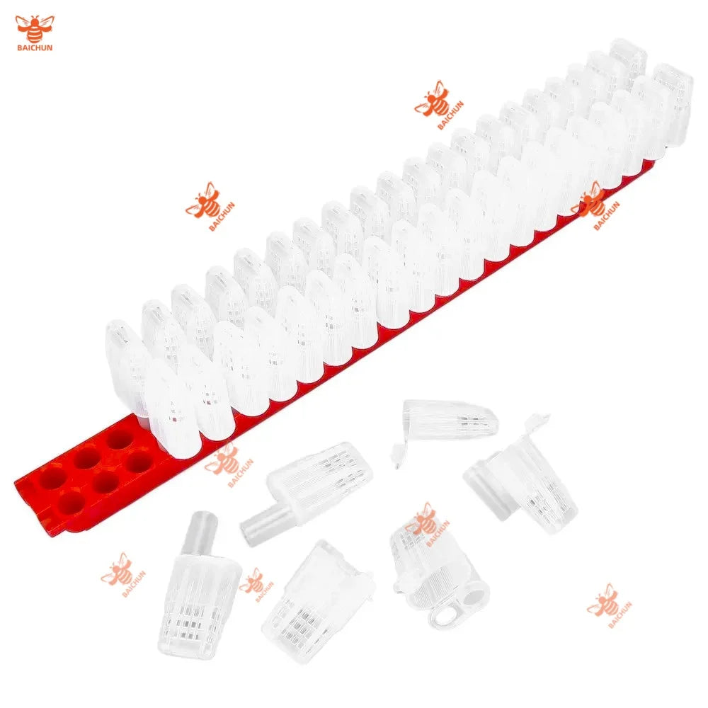 Hot Sale Queen Rearing Kit with 1pc Queen Transport Support & 46PCS Queen Cages Transportation Tool for Beekeeping Bee Farm