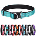 New Explosion-proof Impulse Pet Collar Reflective Double D Ring Dog Collar Medium and Large Dog Collar