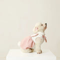 UFBemo Fashion Rabbit Styling Cotton Clothes Pet Dresses Skirt Clothing Fancy  Dog Clothes