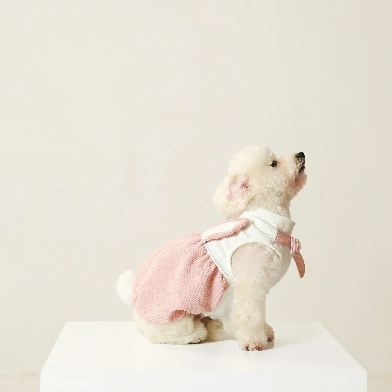 UFBemo Fashion Rabbit Styling Cotton Clothes Pet Dresses Skirt Clothing Fancy  Dog Clothes