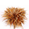 Manufacturer Wholesale 6-8 Inch Red Chicken Rooster Feathers Patterned and Washed for Crafts DIY Earrings Jewelry
