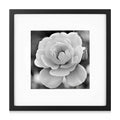 Black Square Photo Frame Gallery Wall Kit with Decorative Art Prints 12x12 Square Picture Frame Frames Picture Wall Art