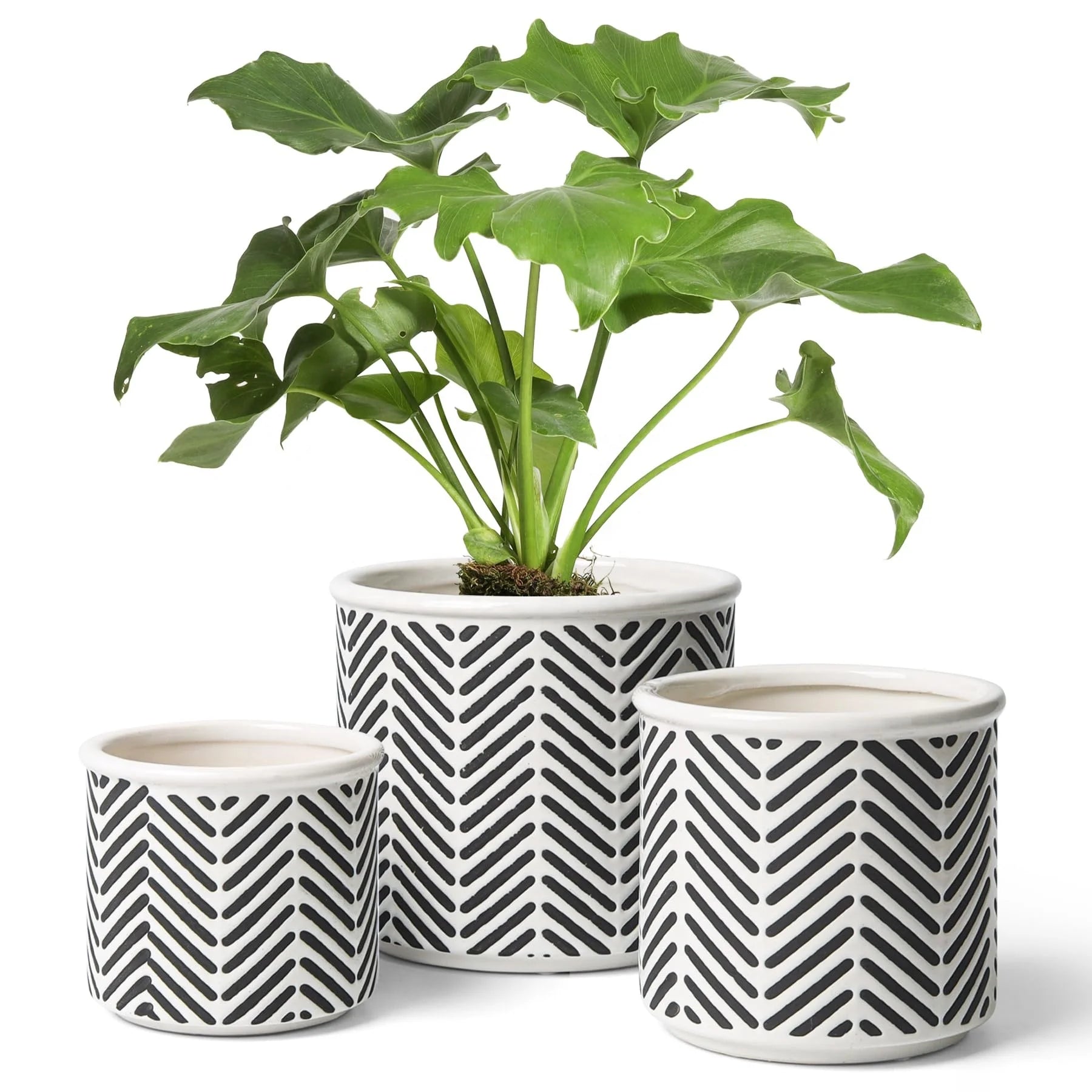 Bohemian Modern Folding Line Pattern Matte Glaze Ceramic Flower Pot with Hole and Tray Plant Garden Home Decoration