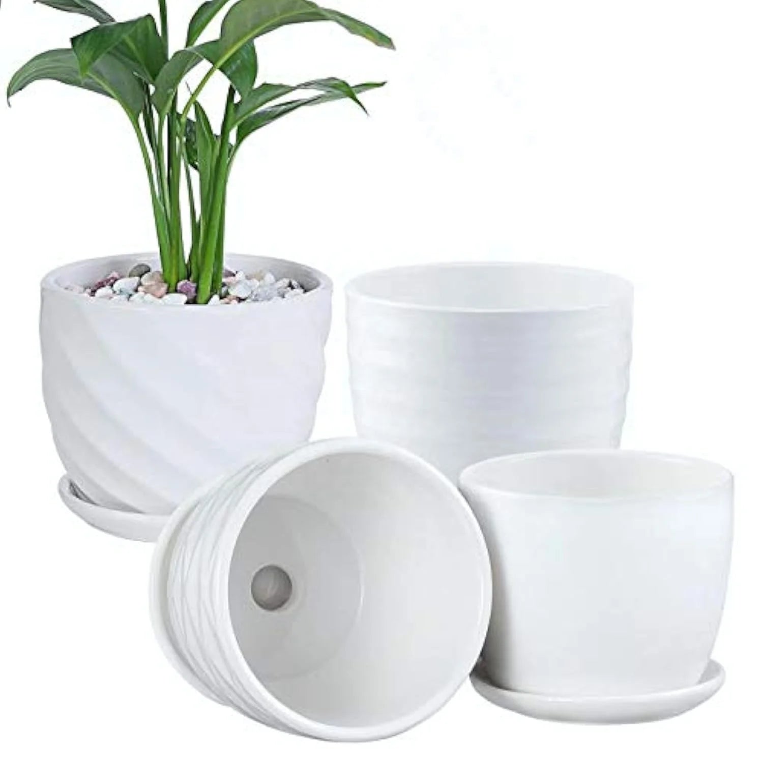Custom Modern Minimalist Succulent White Ceramic Flower Pot With Holes and Saucers Garden Home Decoration Vase