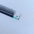 New Arrival Narrow Fans Premade Fans Lashes Full Volume 6D Shape Clover Lashes Premade Fans Cilia W6D Lashes