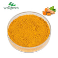 Hot Sale Food Grade Pure Organic Quality Natural Ingredient 95% Curcumin Extract Powder ISO/KOSHER/HALAL Certified Supplements