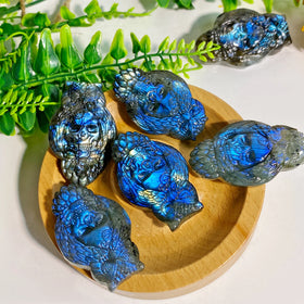 Wholesale Natural Healing Crystal Beautiful Rainbow Flash Labradorite Skeleton Owl Carving for Room Decoration