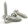 Factory Stainless Steel 304 Self-Tapping Wood Screw M2 M3 M4 M5 M6 Torx Head Metric System