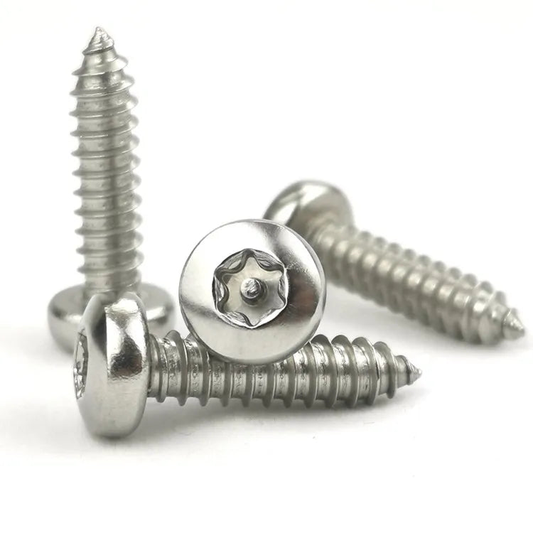 Factory Stainless Steel 304 Self-Tapping Wood Screw M2 M3 M4 M5 M6 Torx Head Metric System