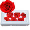 2026 5-6cm Immortal Rose Mothers Day Gift Eternal Life Flower Material Gift Box Flower Heads Bulk Artificial Head MegaBDM