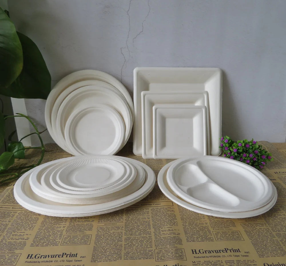 Biodegradable Disposable Paper Plate Dishes Eco-Friendly Heavy Duty Compostable BPA Free Dishwasher Safe Water Resistant