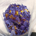 Organic Nymphaea Caerulea EU Food Grade Wholesale Blue Lotus Hand Picked Smoking Relaxing Flower Tea Egyptian Nymphaea Caerulea