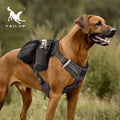 Lightweight Solid Polyester Sport Dog Harness with Reflective & Quick Release for Outdoor Training and Hiking